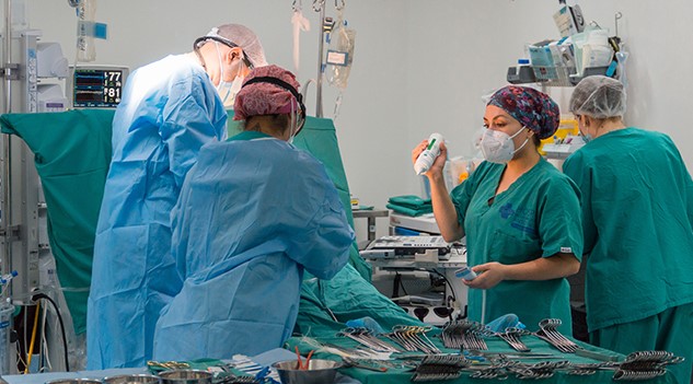 Hospital Regional “Dr. Leonardo Guzmán” de Antofagasta alcanza mil cirugías cardiacas de alta complejidad