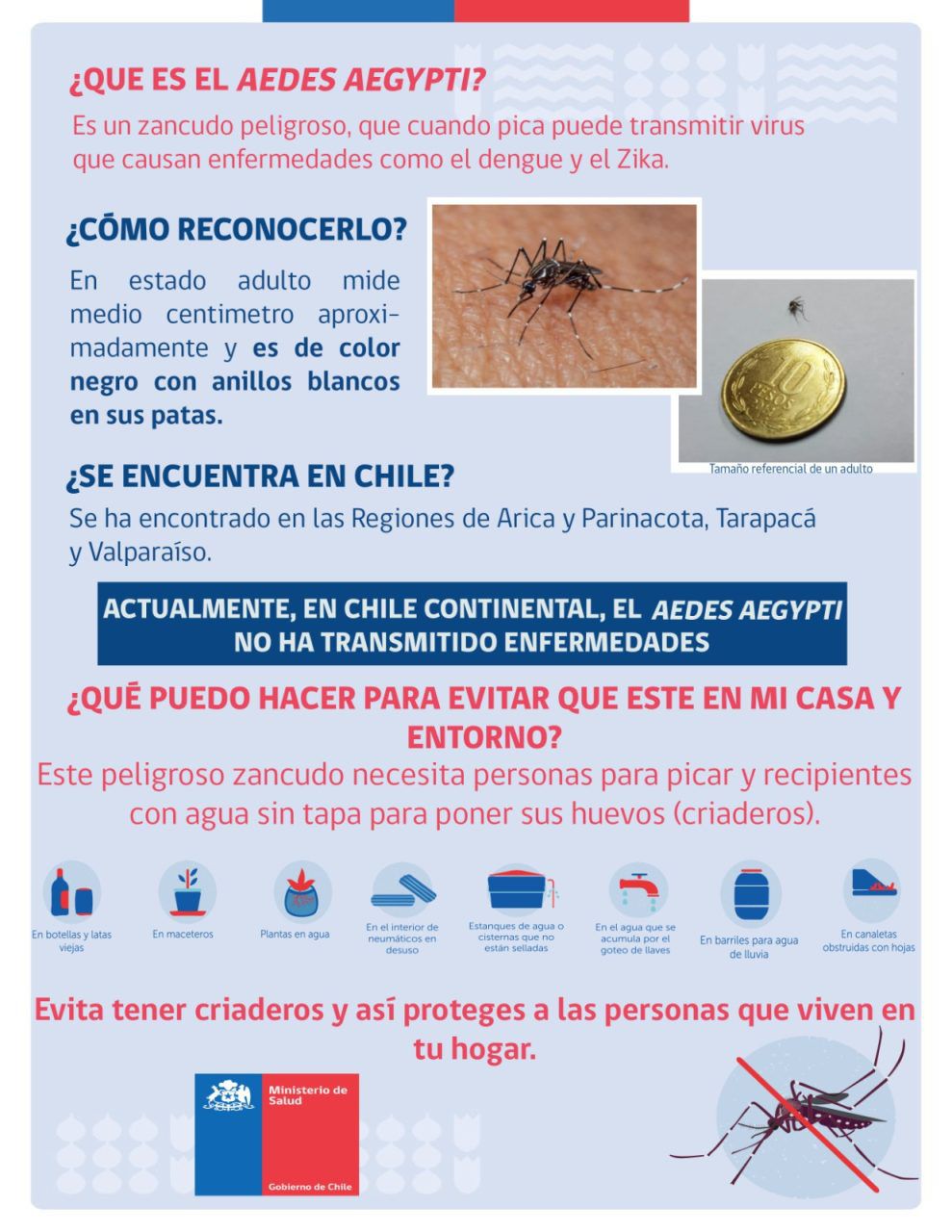 𝐌𝐞𝐝𝐢𝐝𝐚𝐬 𝐩𝐫𝐞𝐯𝐞𝐧𝐭𝐢𝐯𝐚𝐬 𝐩𝐚𝐫𝐚 𝐞𝐯𝐢𝐭𝐚𝐫 𝐥𝐚 𝐩𝐫𝐞𝐬𝐞𝐧𝐜𝐢𝐚 𝐲 𝐩𝐫𝐨𝐥𝐢𝐟𝐞𝐫𝐚𝐜𝐢𝐨́𝐧 𝐝𝐞 𝐳𝐚𝐧𝐜𝐮𝐝𝐨 𝐚𝐞𝐝𝐞𝐬 𝐚𝐞𝐠𝐲𝐩𝐭𝐢.